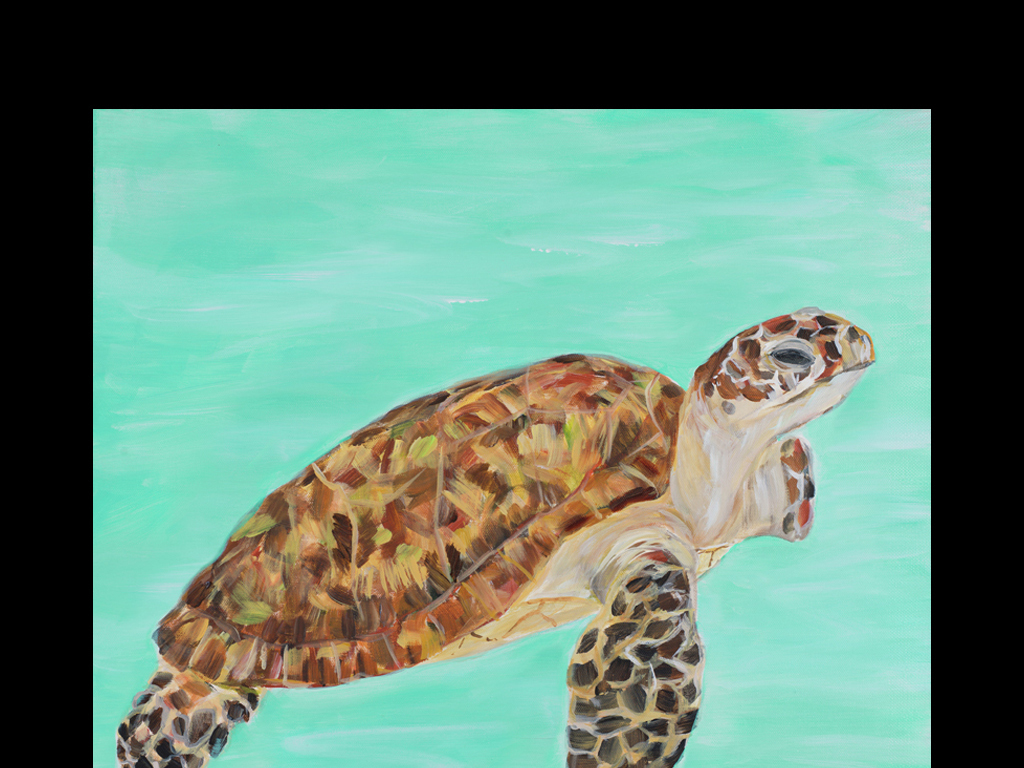 海龟乌龟进口美克美家装饰画画芯