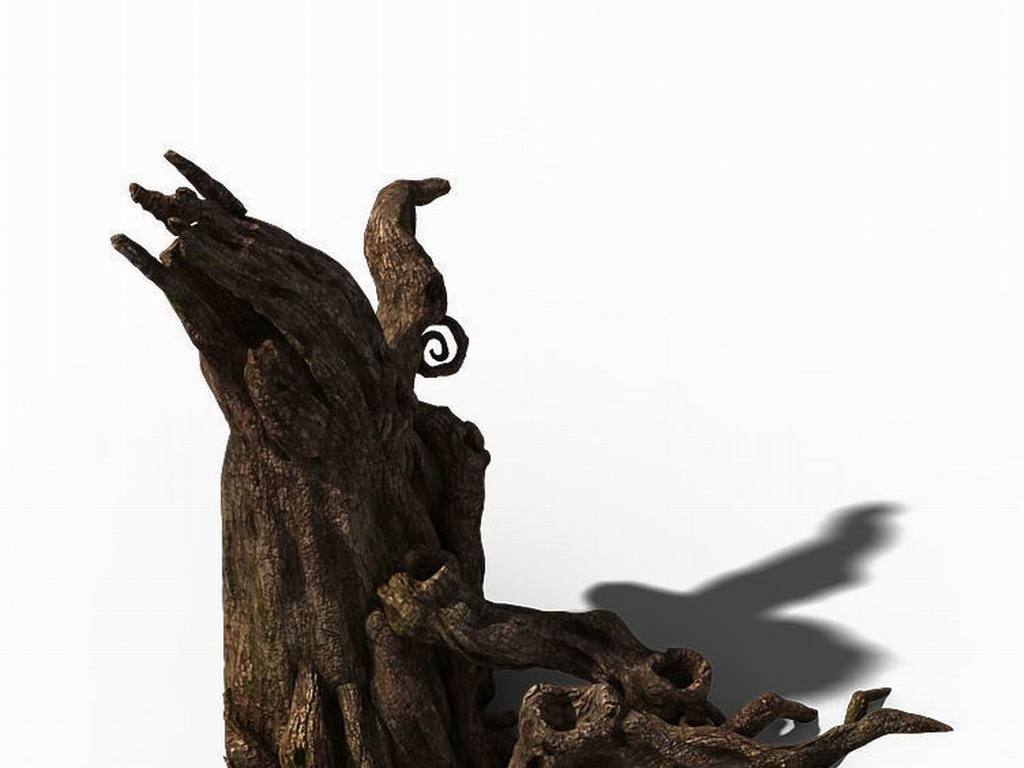 终南山-漂亮个性树根01设计图下载(图片9.