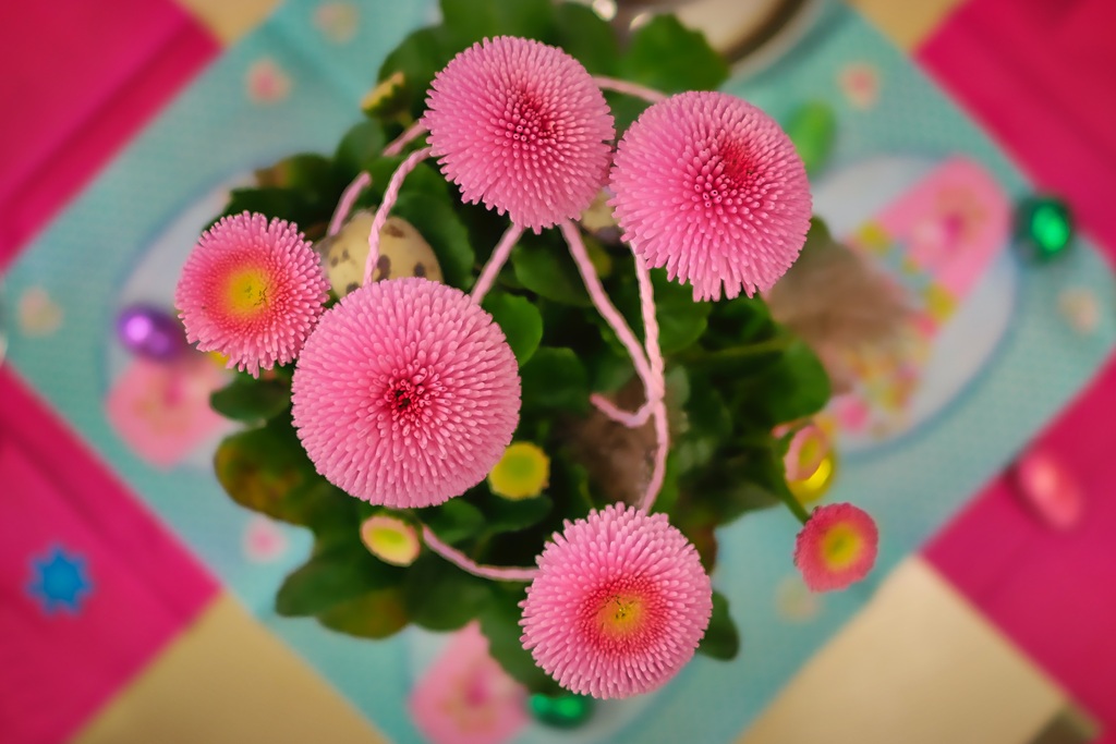 创意粉色花朵壁纸素材