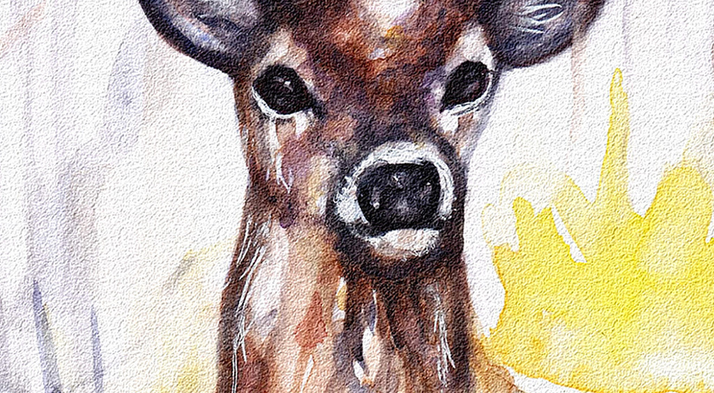 背景墙|装饰画 无框画 动物图案无框画 > 小清新水彩麋鹿客厅书房装饰