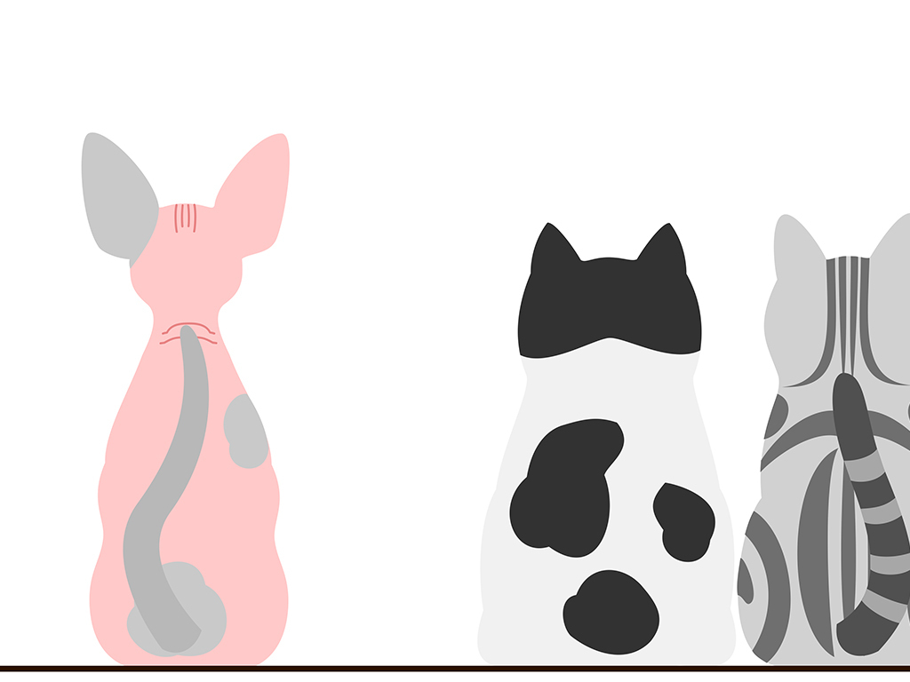 北欧装饰画卡通可爱动物无框床头画图片设计素材_高清模板下载(2.